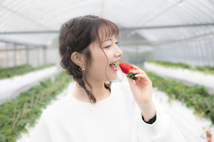 花祭いちごの谷 ネット予約ならアソビュー 花祭いちごの谷 ネット予約ならアソビュー