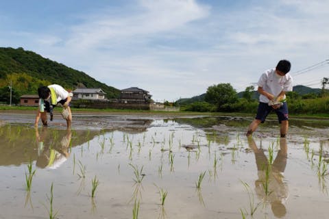 【岡山・備前・田植え体験】日本遺産で田植え体験！＜おむすびづくり・井田米1kg付＞