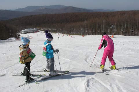 長野 信濃町 スキースクール はじめてのスキーから中級者まで 半日レッスン アソビュー