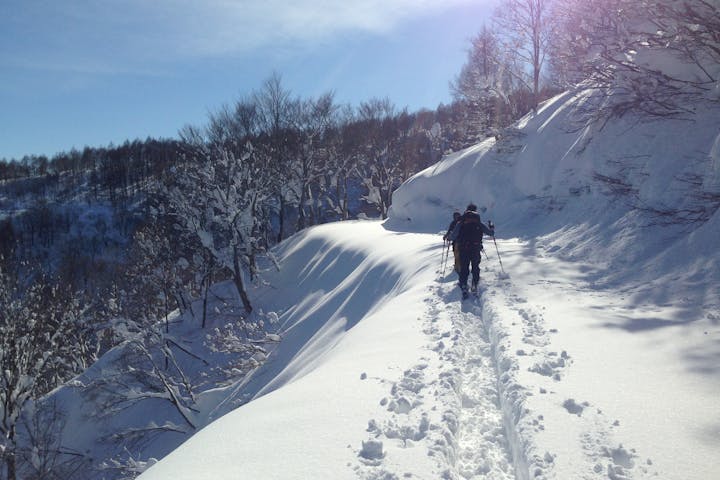 長野 野沢温泉 バックカントリースキー 野沢温泉エリアでバックカントリーツアー アソビュー