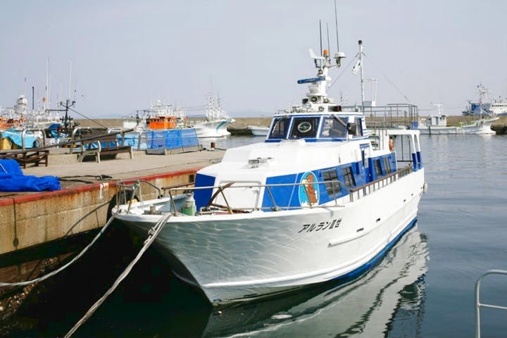 観光船アルランⅢ世