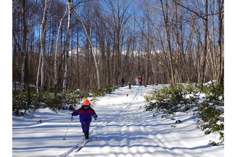 【長野・乗鞍・スキー】冬の森を満喫！乗鞍高原ネイチャースキー（半日）