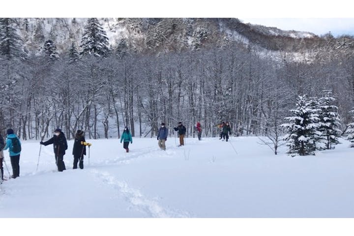 北海道 羅臼 スノーシュー 真っ白な雪の世界を満喫 スノーシュートレッキング アソビュー