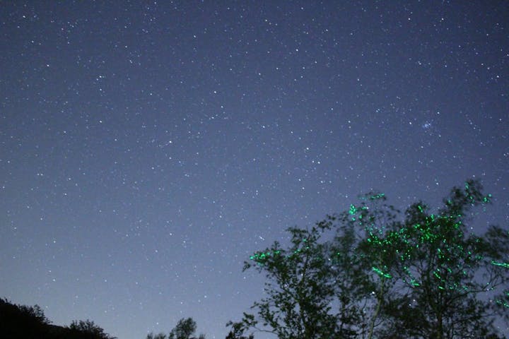 長野 阿智村 天体観測 美しい星空を目に焼き付けよう 日帰り星空観測 アソビュー