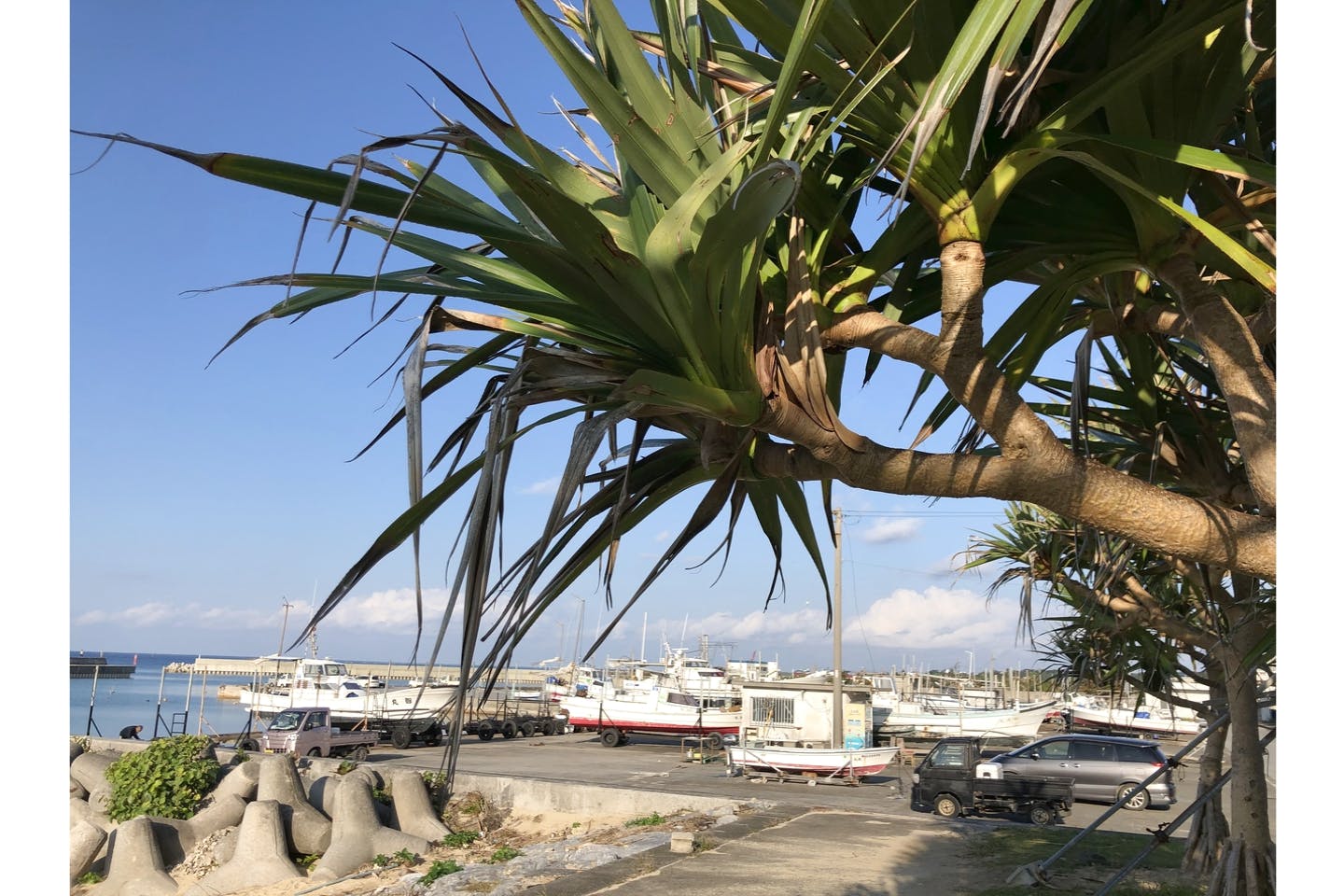 【Zoomツアー・最大45分】沖縄の秘境『久米島』を周る癒しのオンラインツアー