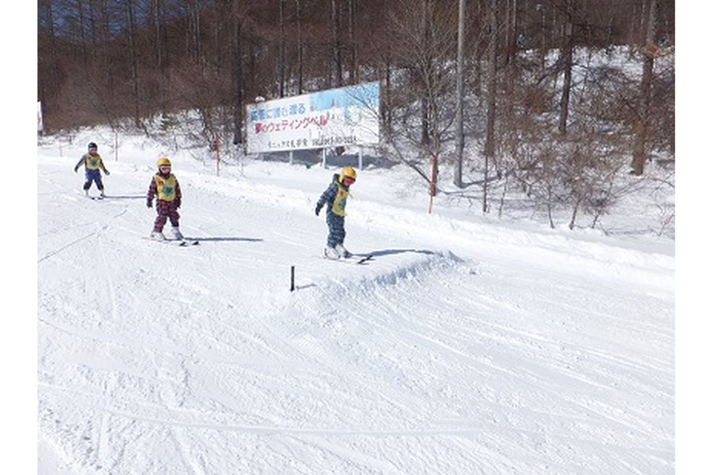 長野 南佐久 スキースクール 気軽にスキーデビュー キンダーレッスン 半日 アソビュー