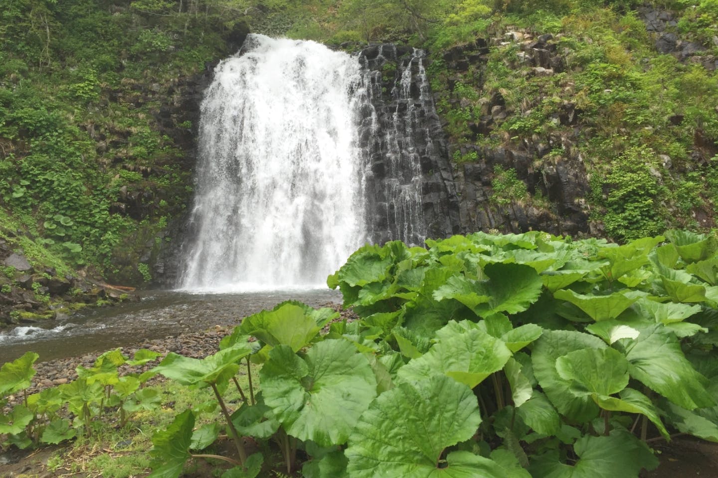 【北海道・羅臼・トレッキング】雄大な自然の中を歩く！熊越の滝トレッキング