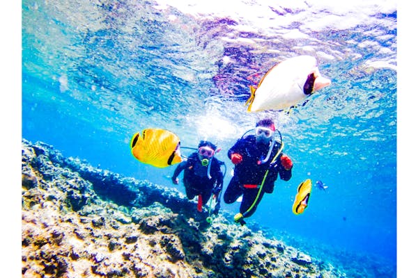 沖縄ダイビングショップシーモールのネット予約・口コミ・クーポン情報