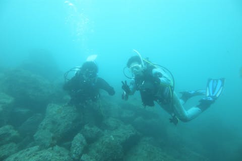 【福岡県・福岡市・体験ダイビング】福岡近郊の海中世界へGO！体験ダイビングプラン