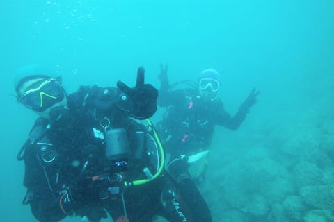 【福岡県・福岡市・ファンダイビング】気軽に自然と戯れよう！日帰りファンダイビング