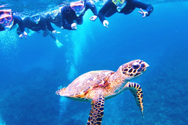 沖縄・那覇発・慶良間諸島1日・体験ダイビング1ダイブ 