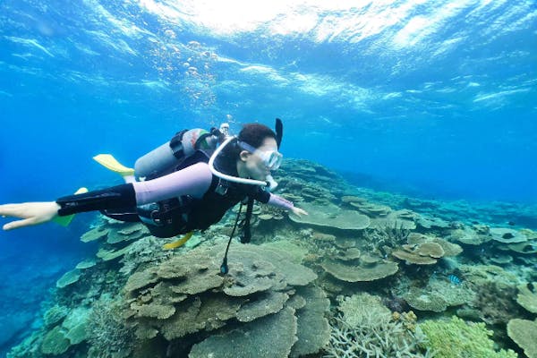 沖縄・那覇発・慶良間諸島1日・体験ダイビング1ダイブ 