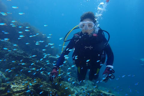 山口 長門 体験ダイビング 青海島の綺麗な海でダイビングを体験しよう アソビュー