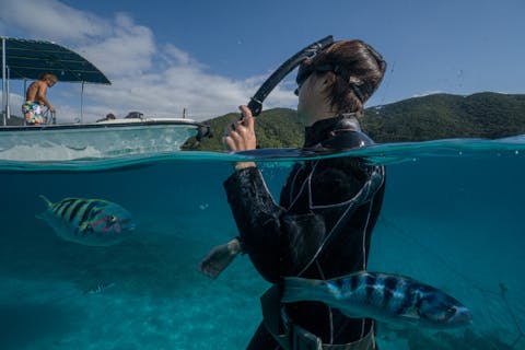 【鹿児島・奄美大島・ボートツアー】サンゴや絶景を満喫！透明度の高い海で半日ボートツアー