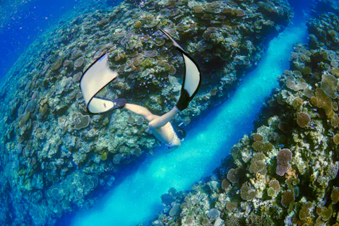 【鹿児島・奄美大島・ボートツアー】団体様貸切でお得！半日貸切ボートツアーで奄美の海を遊び尽くそう