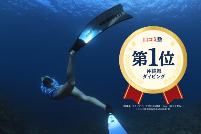 【沖縄・慶良間諸島・スキンダイビング】かなづちでもできる！半日レクチャー付き！初心者スキンダイビング！Google口コミ数第1位！