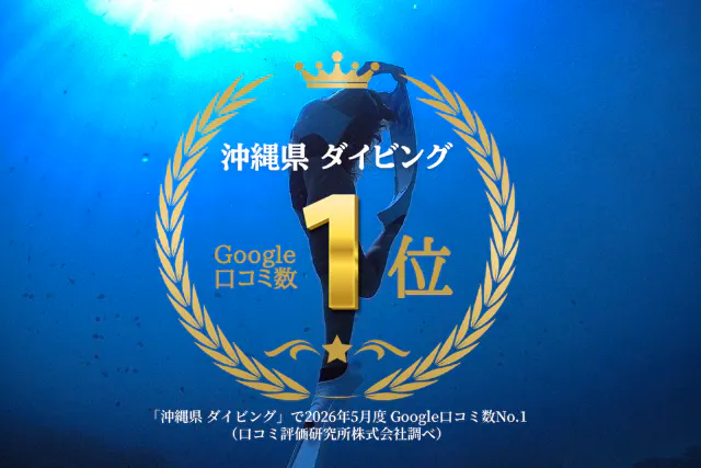 【那覇発・半日慶良間】かなづちでもOK！レクチャー・撮影付きスキンダイビング｜2025年4月Google口コミ数「沖縄ダイビング」第1位！