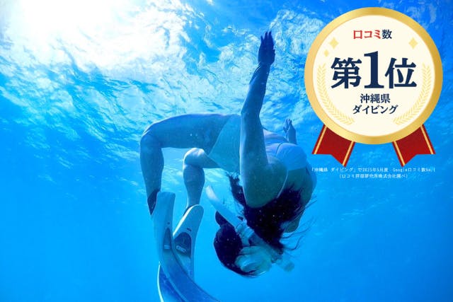 【沖縄・慶良間諸島・スキンダイビング】撮影付！経験者向けスキンダイビング！Google口コミ数第1位！