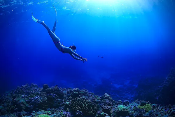 Google口コミ数第1位【那覇発・半日・慶良間諸島】沖縄屈指の透明度