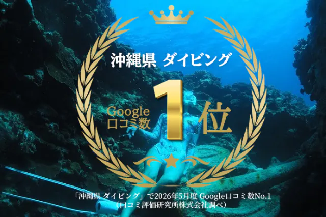 【那覇発・半日慶良間】人魚のような幻想撮影！ロングフィン有｜スキンダイビング｜2025年4月Google口コミ数「沖縄ダイビング」第1位！１名様専用