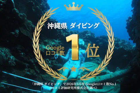 Google口コミ数第1位【那覇発・半日・慶良間諸島】1名様専用！沖縄屈指の透明度！撮影付！ロングフィンレンタルあり（スキンダイビング経験者専用コース）