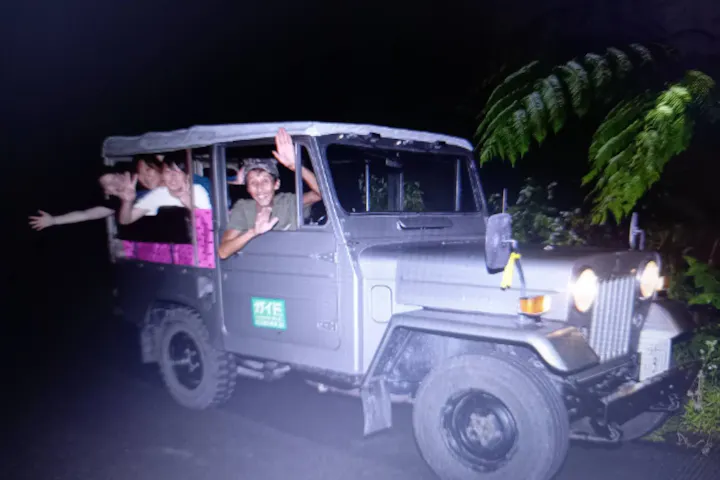 奄美ガイド 太古の森 ネット予約ならアソビュー