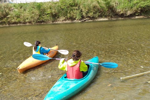 【鹿児島・奄美大島・カヌー】マングローブカヌーと巨大な豆の木＆滝の見学ツアー