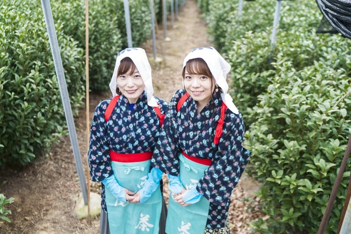 一般社団法人西尾市観光協会