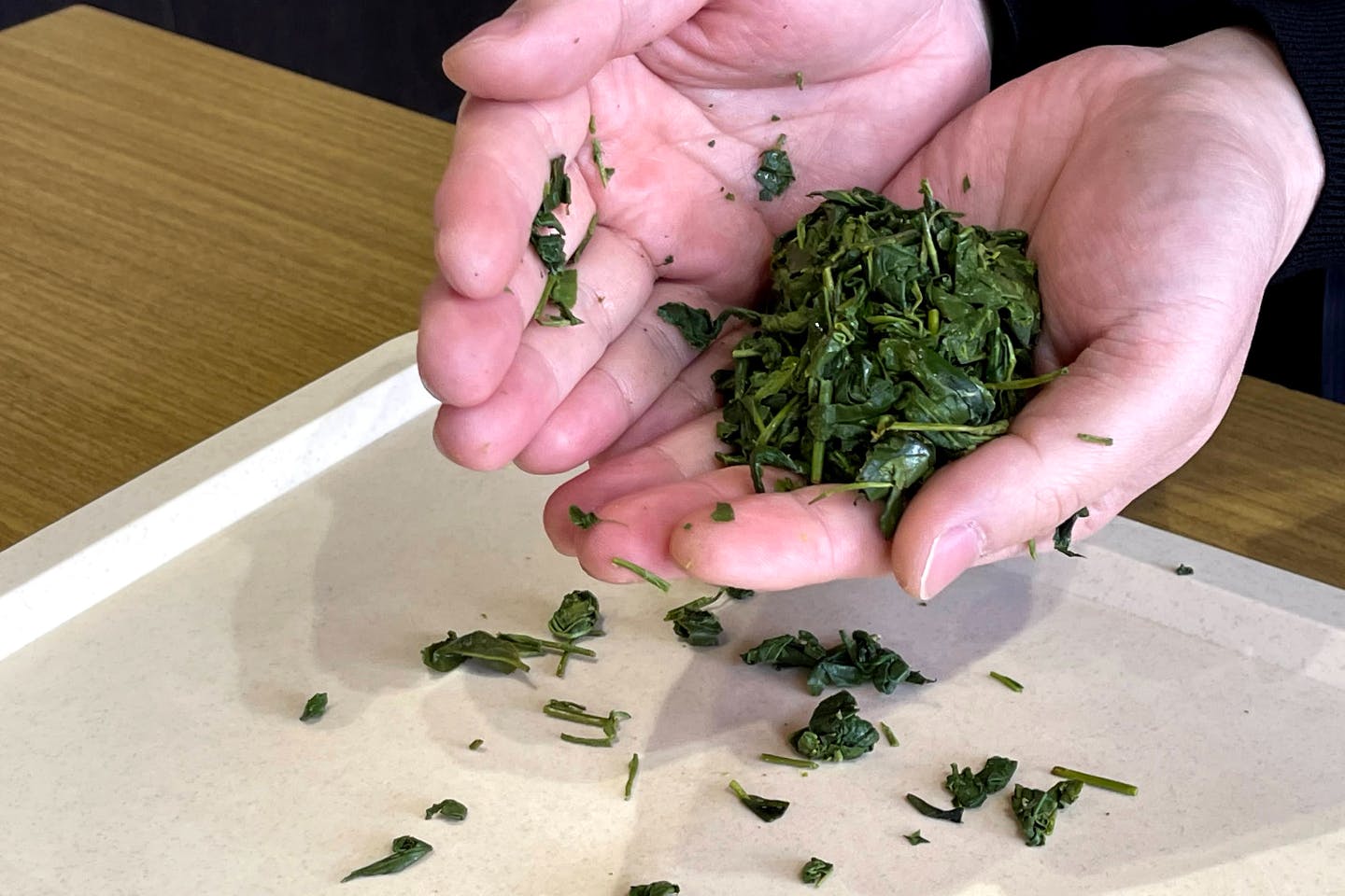 【福岡・八女・料理教室】高級茶の名産地「奥八女」で手揉み緑茶作り（1個）