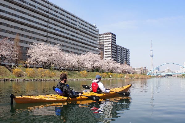 東京・東大島・シーカヤック】カヤックでお花見を楽しもう！「東京水路