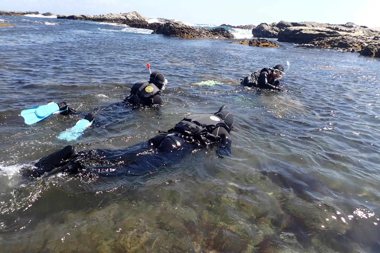 千葉 館山 シュノーケリング 紺碧の海プライベートビーチ西川名でシュノーケリングツアー 南房総黒潮通るクリスタル海と水中動生物鑑賞 アソビュー