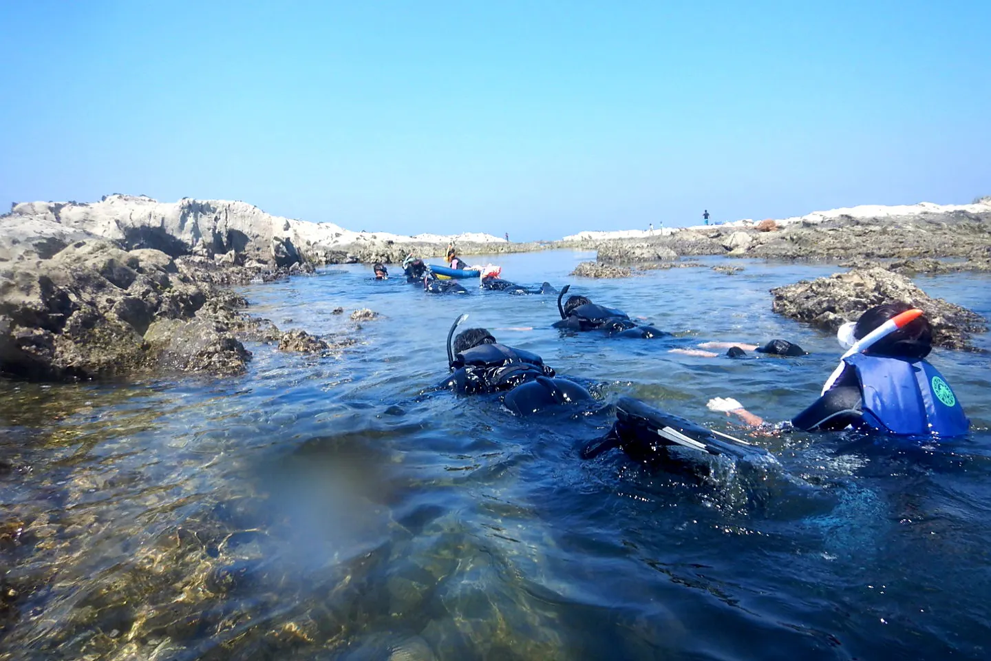 千葉 館山 シュノーケリング 紺碧の海プライベートビーチ西川名でシュノーケリングツアー 南房総黒潮通るクリスタル海と水中動生物鑑賞 アソビュー
