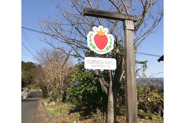 モリヤマファーム