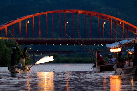 【広島・三次・日本の伝統文化】戦国時代から続く、三次の「鵜飼」を遊覧船から鑑賞しよう