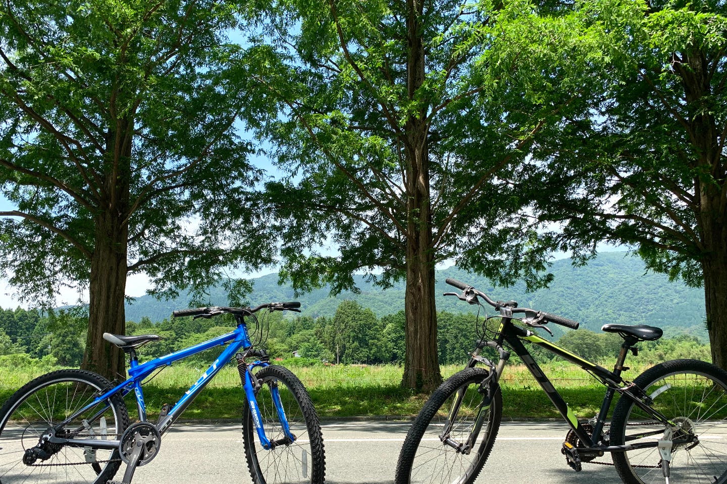 マウテンバイク‼️滋賀で取り引き可能な方‼️ 自転車処どてるし|滋賀県・琵琶湖西のスポーツバイク専門店