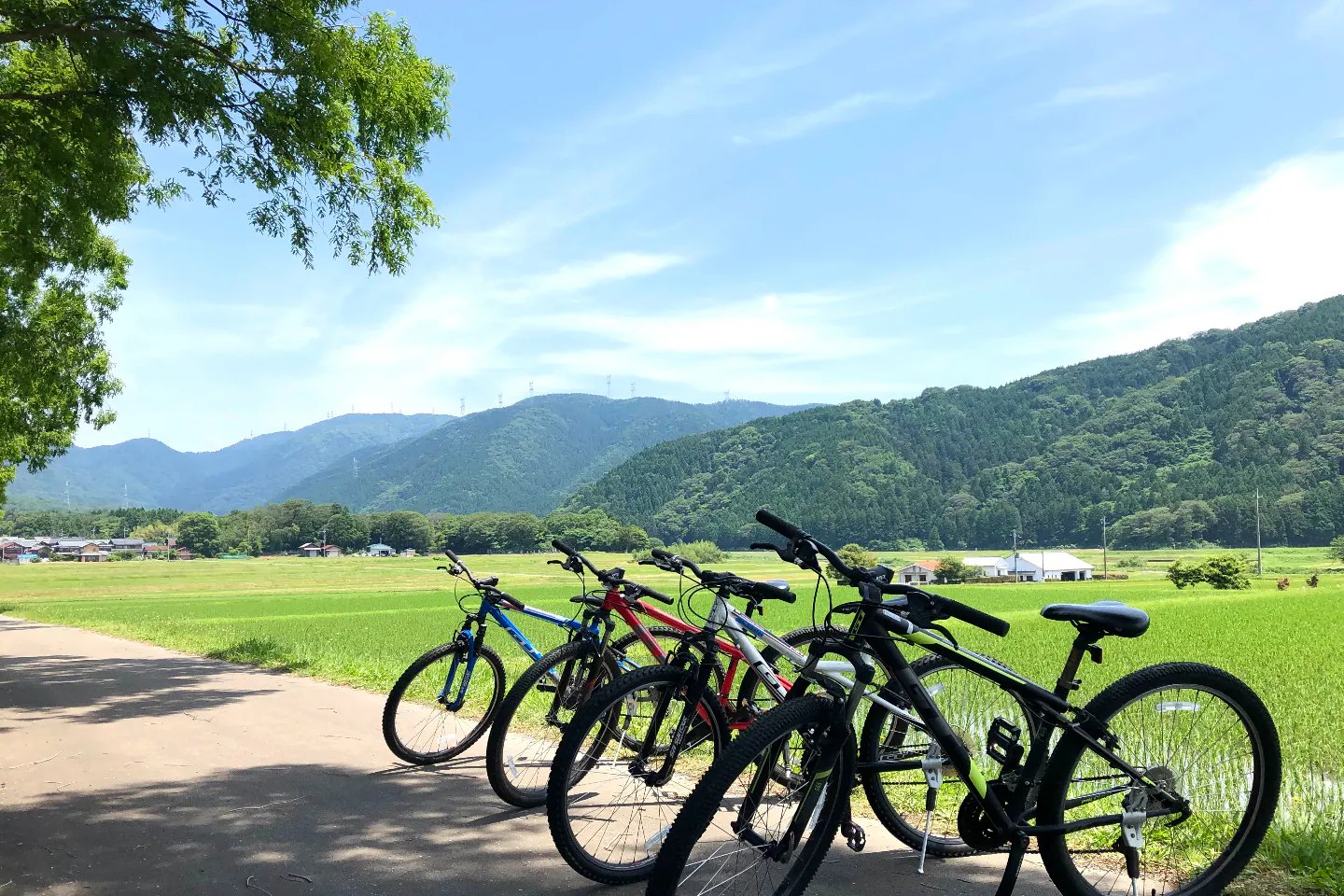 滋賀・琵琶湖・サイクリング】マウンテンバイクで快走。奥びわ湖の絶景