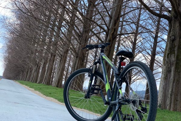 滋賀・琵琶湖・サイクリング】マウンテンバイクで快走。奥びわ湖の絶景