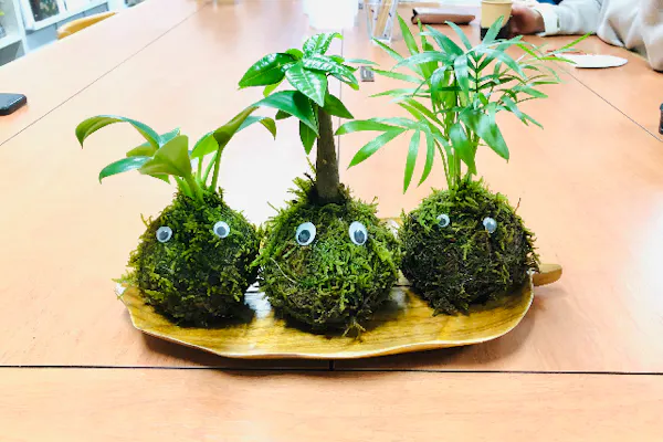 宮城・仙台・苔玉作り】癒しのひと時♪苔玉作り体験（1個）｜アソビュー！