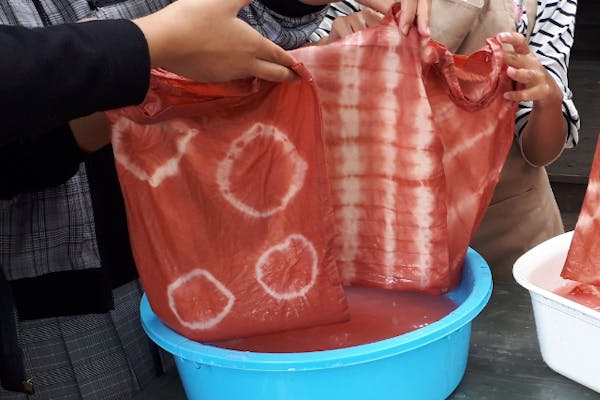 熊本・南阿蘇・草木染め】誰でも簡単！ハンカチor袋物を自分色に染め
