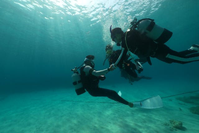 【鹿児島・奄美大島・体験ダイビング】安心安全の体験ダイビング