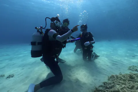 【奄美大島・ファンダイビング】奄美の水中世界を楽しもう！ファンダイビング