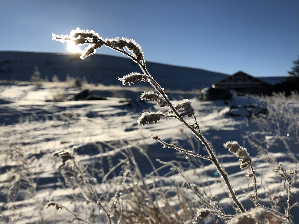 霧ヶ峰自然教室
