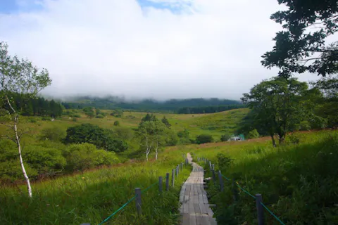 【山小屋ランチ付き！八島湿原ウォーク】霧ヶ峰・八島湿原一周ガイド