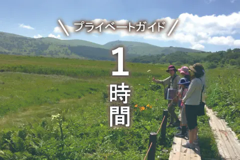 【霧ヶ峰・プライベートガイド～1時間】八島湿原・車山・踊場湿原など ご希望の日時でご案内！