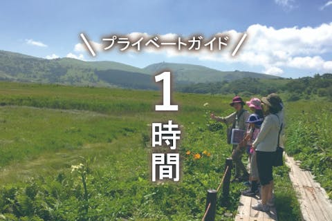 【霧ヶ峰・プライベートガイド～1時間】八島湿原・車山・踊場湿原など ご希望の日時でご案内！