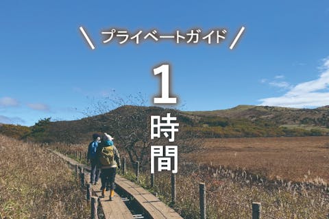 【霧ヶ峰・プライベートガイド～1時間】八島湿原・車山・踊場湿原など ご希望の日時でご案内！