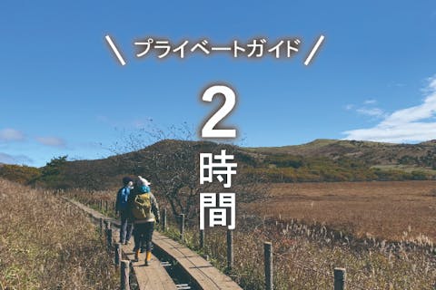 【霧ヶ峰・プライベートガイド～２時間】八島湿原・車山・踊場湿原など ご希望の日時でご案内！