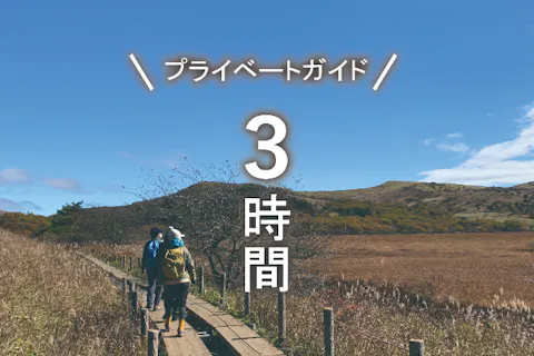 【霧ヶ峰・プライベートガイド～３時間】八島湿原・車山・踊場湿原など ご希望の日時でご案内！