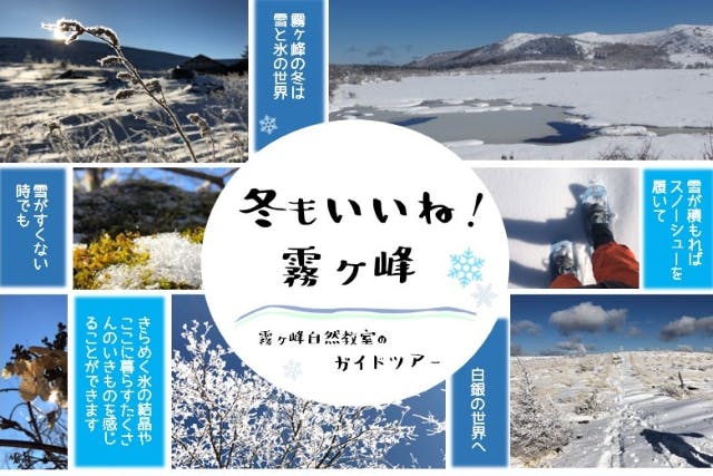 【霧ヶ峰・プライベートガイド～３時間】八島湿原・車山・踊場湿原など ご希望の日時でご案内！