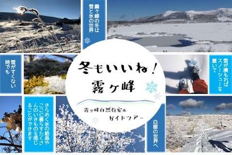 【霧ヶ峰・プライベートガイド～３時間】八島湿原・車山・踊場湿原など ご希望の日時でご案内！